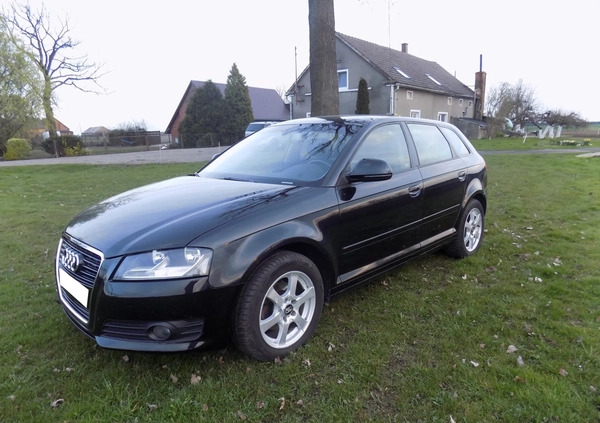 Audi A3 cena 26900 przebieg: 164000, rok produkcji 2010 z Szprotawa małe 407